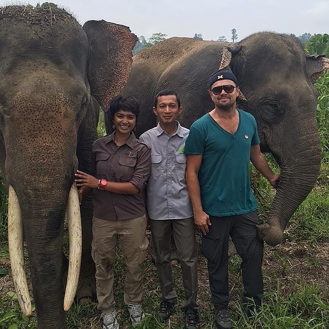 Leonardo-DiCaprio-Visits-Indonesia-March-2016